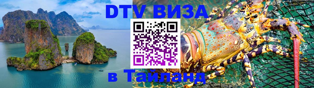 Сколько стоит DTV виза — актуальные цены, оформление даже без документов - 07.01.2026 